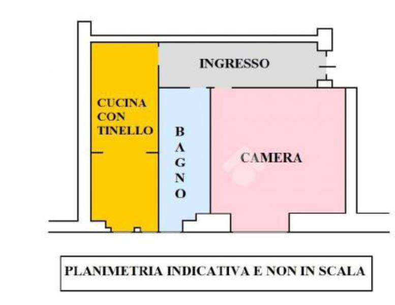 immagine annuncio 12 di 14