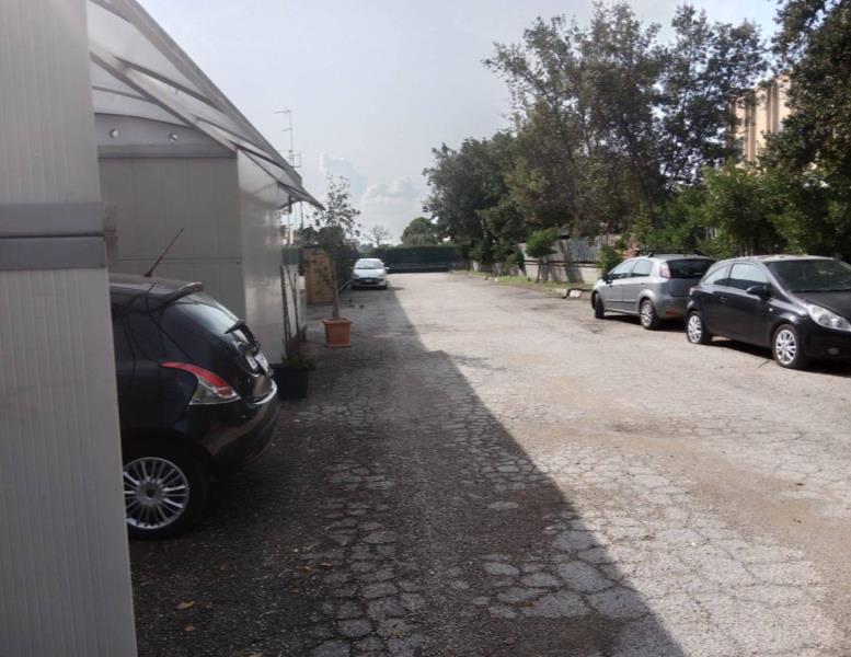 immagine annuncio 2 di 11