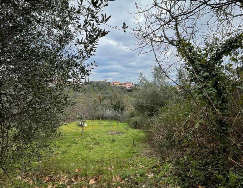 immagine annuncio 6 di 8