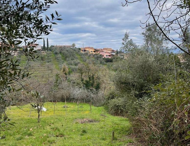 immagine annuncio 2 di 8