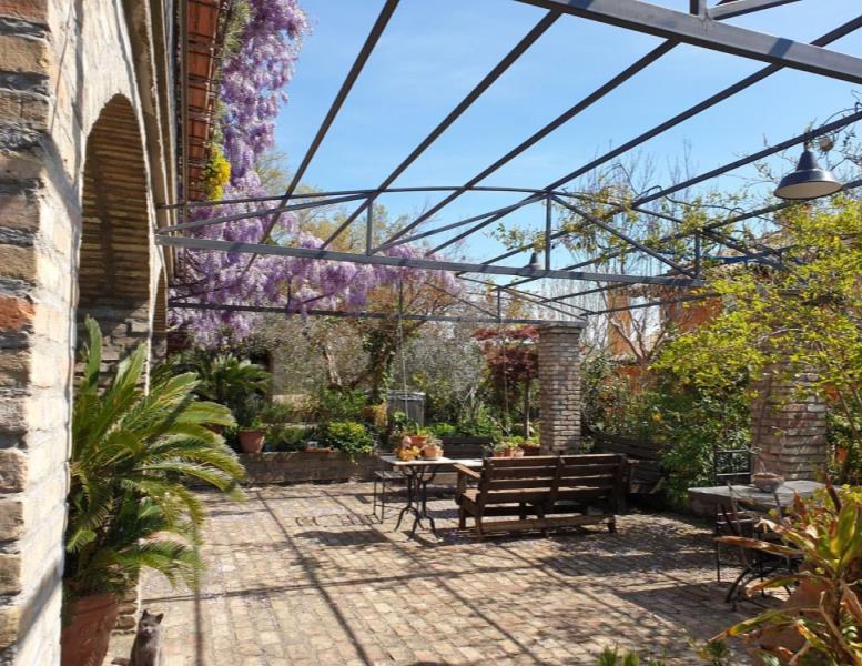 immagine annuncio 12 di 15