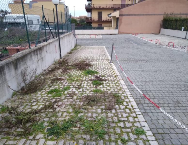 immagine annuncio 1 di 4