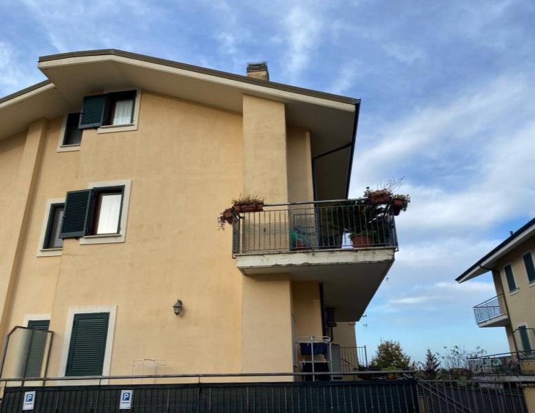 immagine annuncio 12 di 13