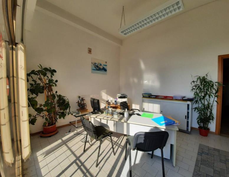 immagine annuncio 10 di 13