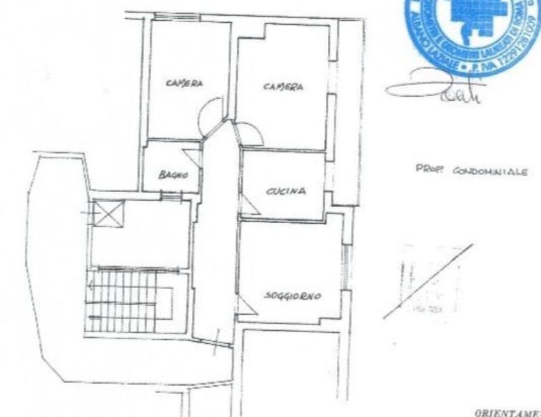 immagine annuncio 12 di 13