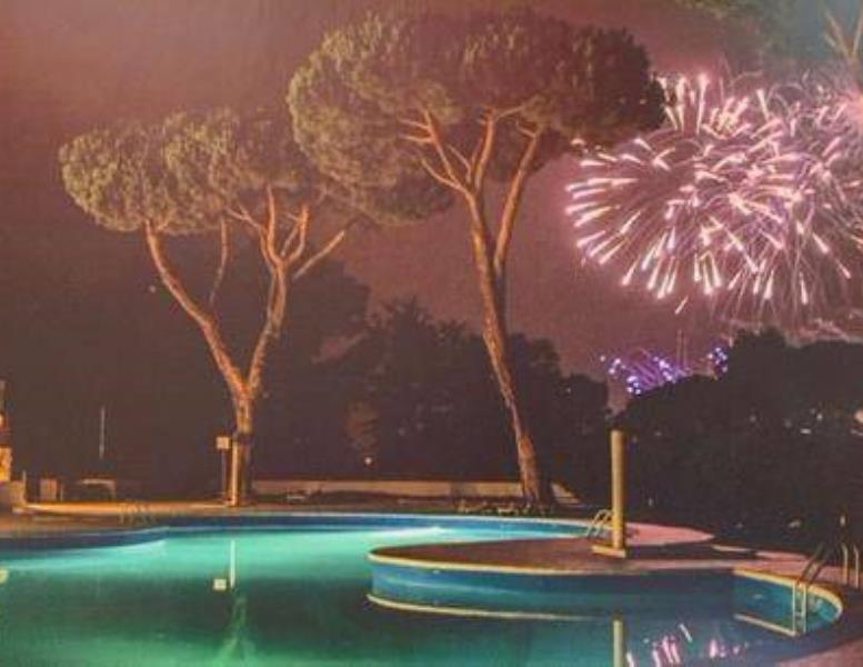 immagine annuncio 6 di 14