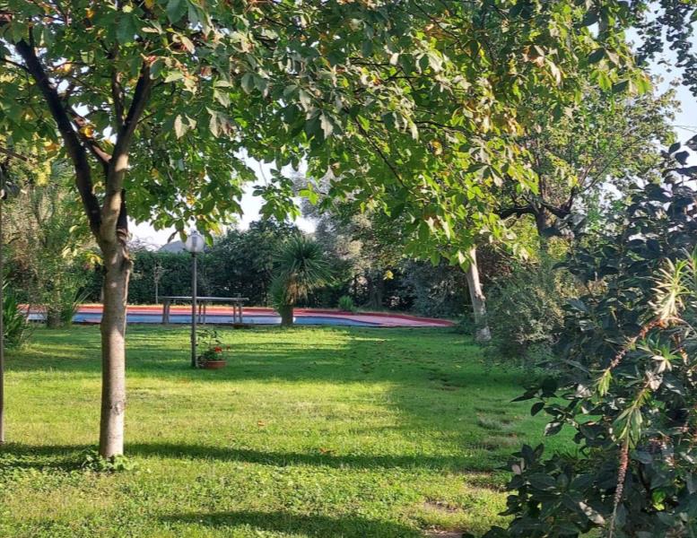 immagine annuncio 8 di 13
