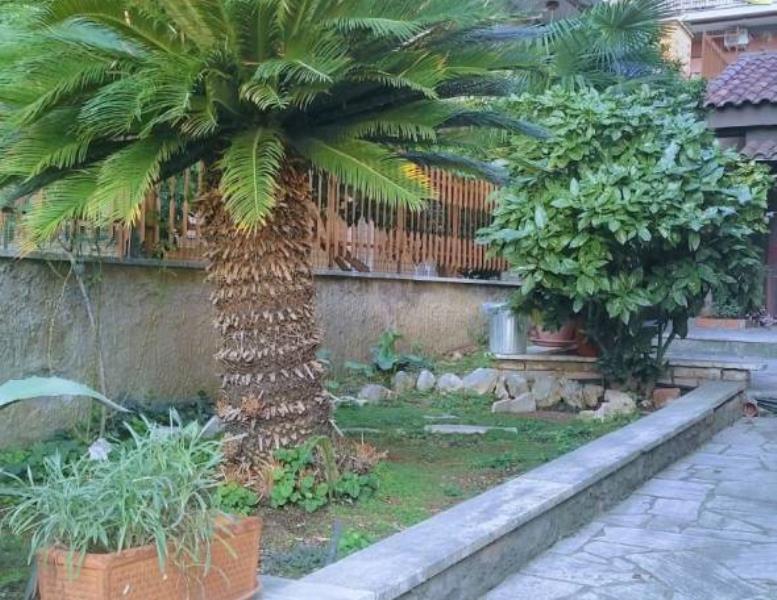 immagine annuncio 1 di 9