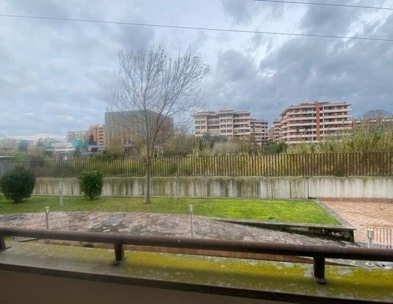 immagine annuncio 2 di 12