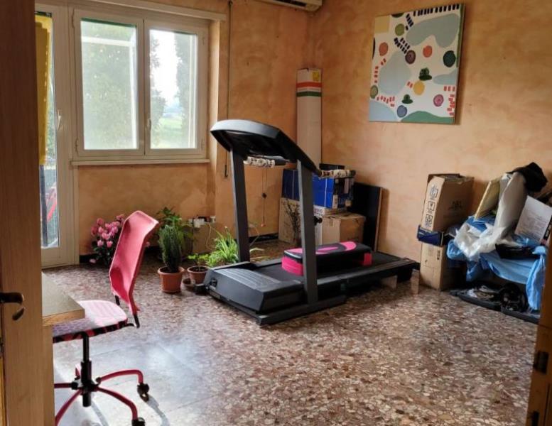 immagine annuncio 6 di 12
