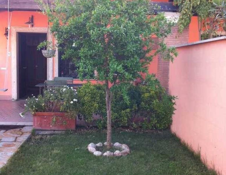 immagine annuncio 2 di 11