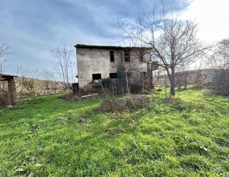 immagine annuncio 7 di 13