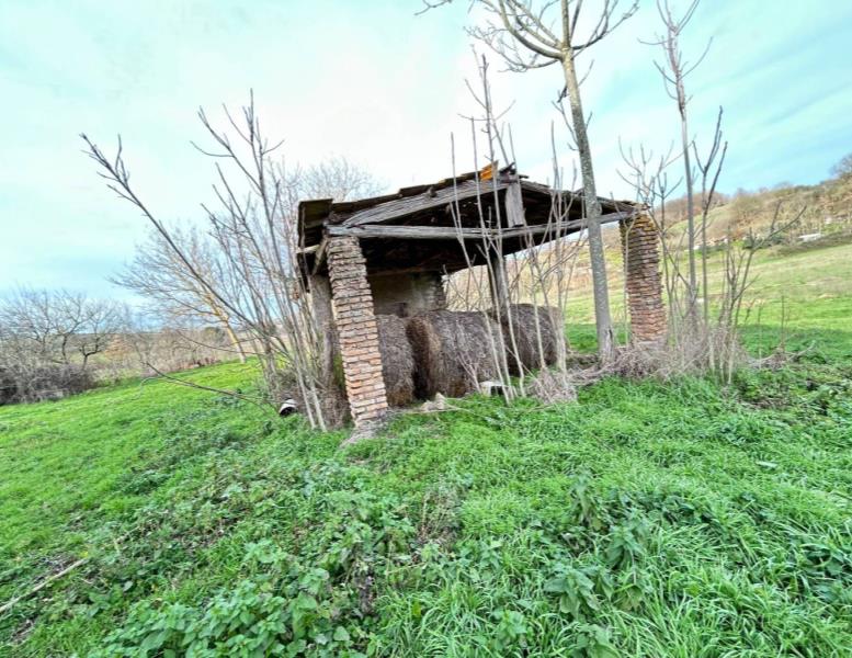 immagine annuncio 4 di 13