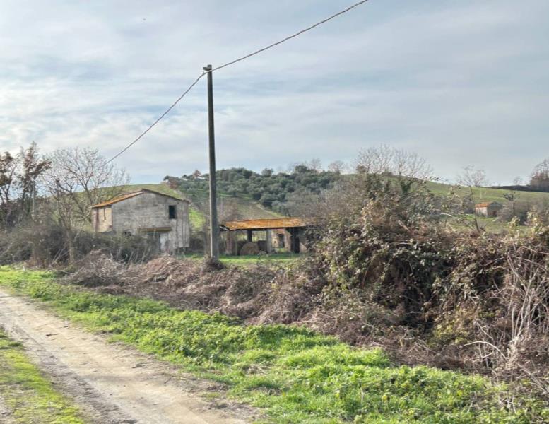 immagine annuncio 2 di 13