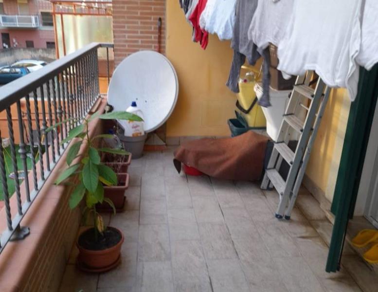 immagine annuncio 4 di 7