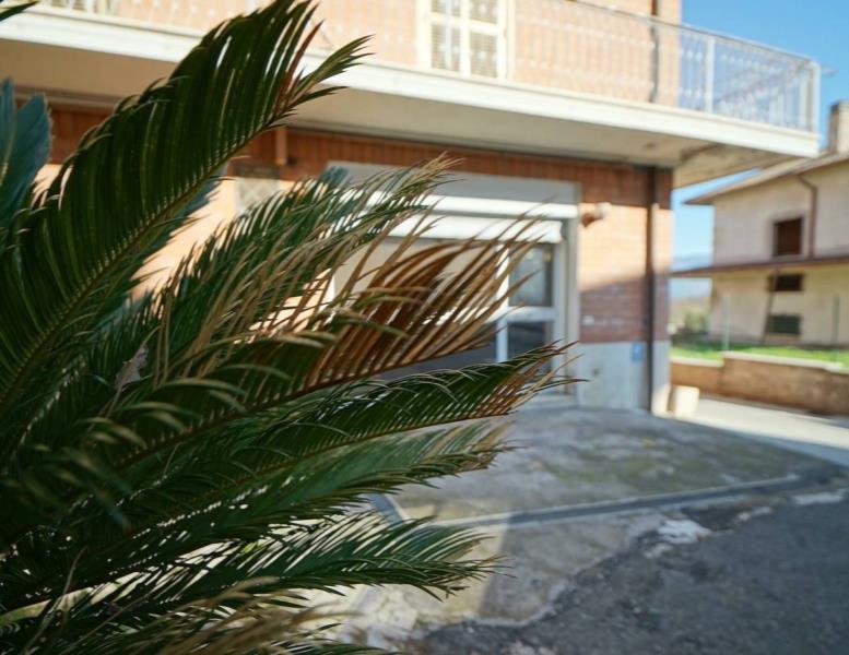 immagine annuncio 10 di 14