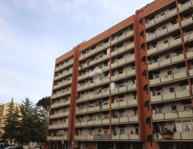 immagine annuncio 1 di 2