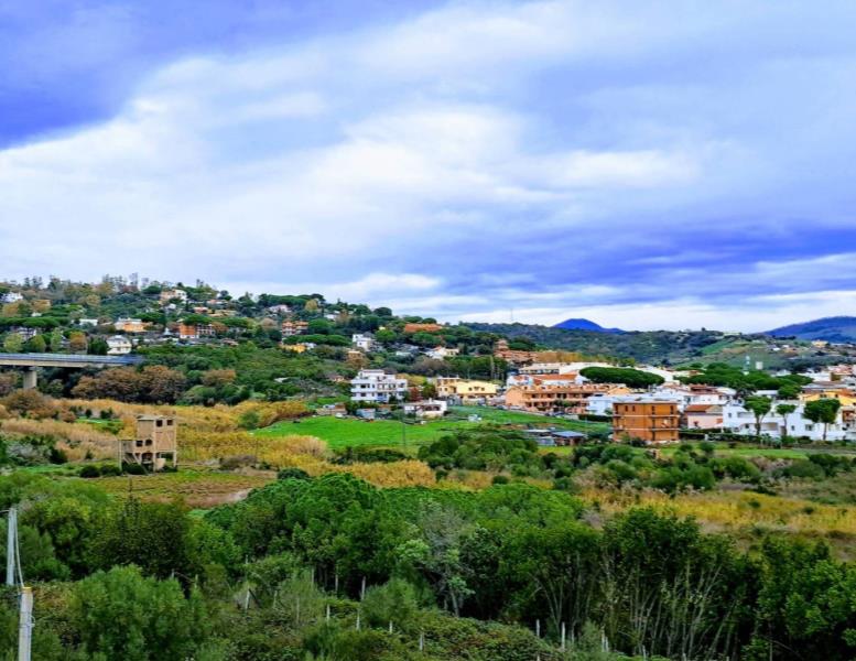 immagine annuncio 9 di 12