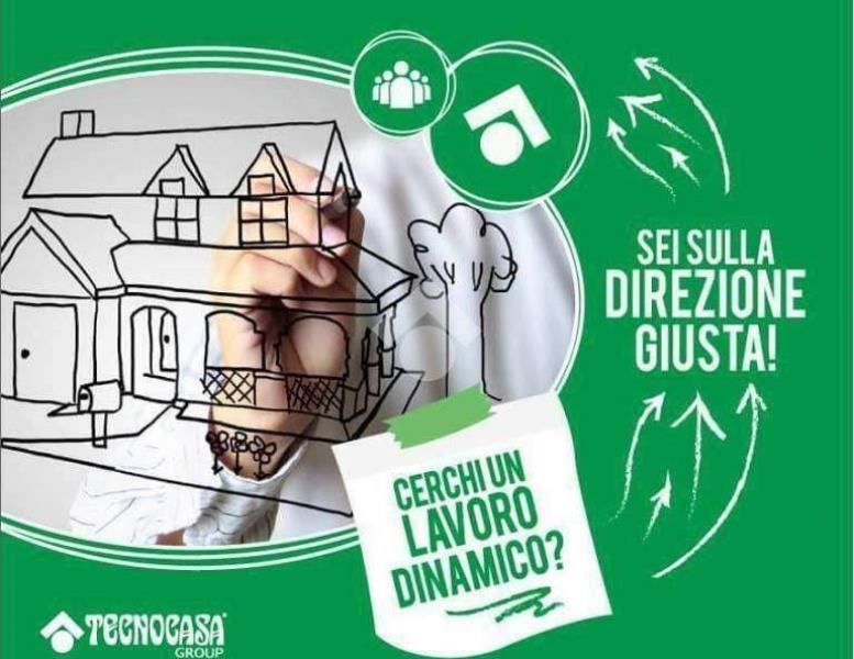 immagine annuncio 7 di 12