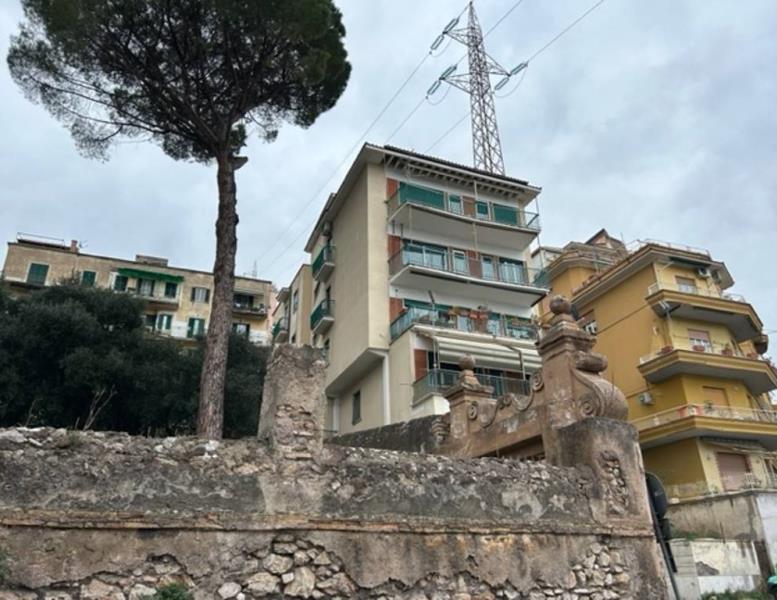 immagine annuncio 1 di 12