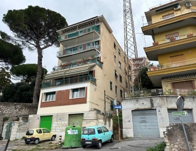 immagine annuncio 2 di 12