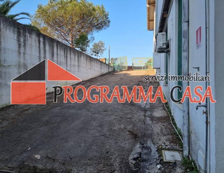 immagine annuncio 3 di 7