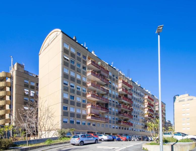 immagine annuncio 12 di 14