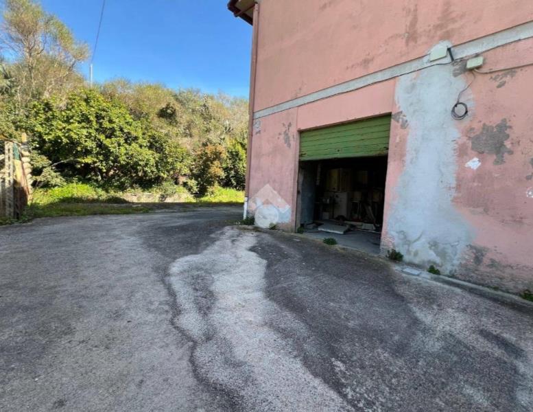 immagine annuncio 8 di 11