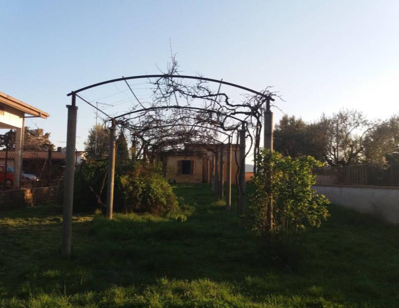 immagine annuncio 4 di 6