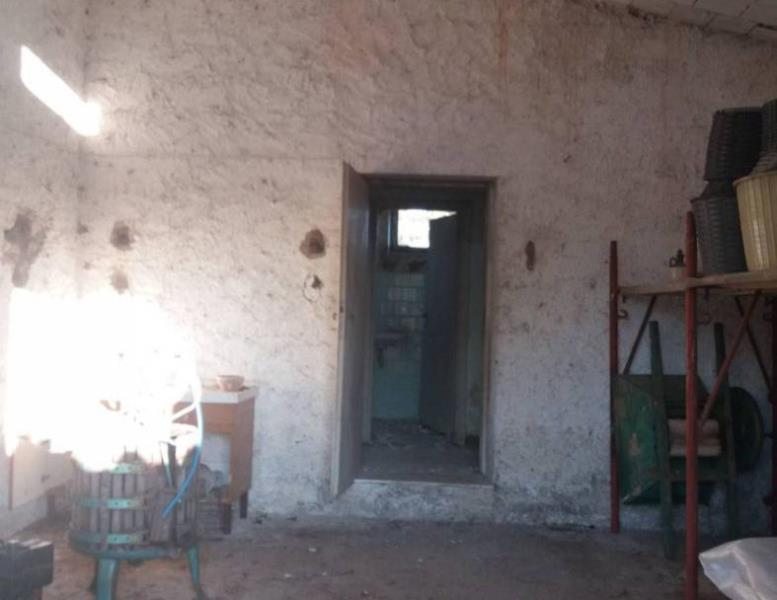 immagine annuncio 3 di 6