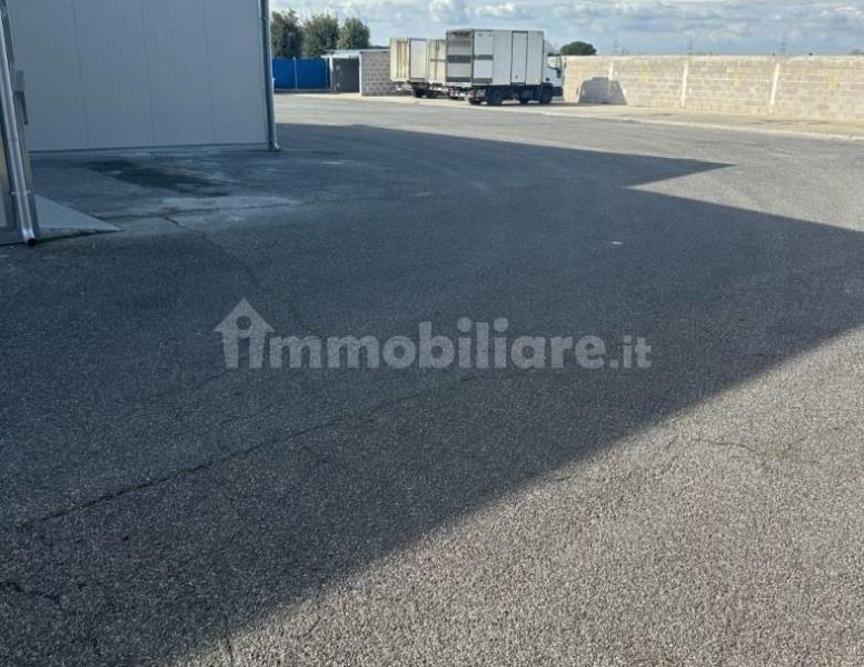immagine annuncio 3 di 8