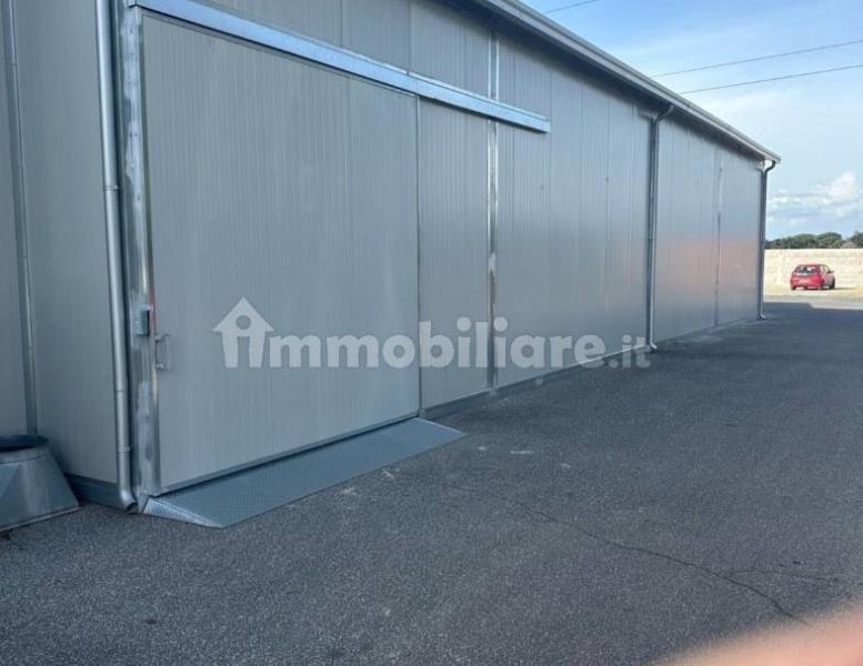 immagine annuncio 5 di 8