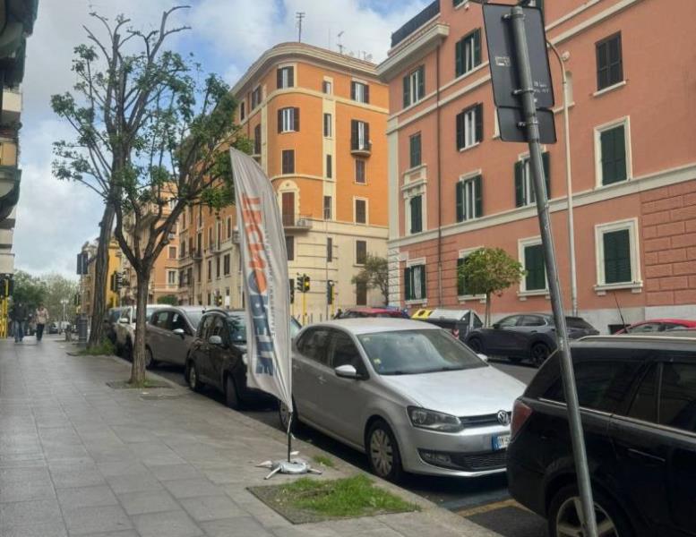 immagine annuncio 10 di 14