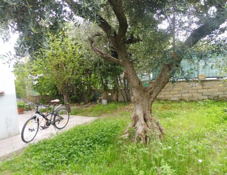 immagine annuncio 5 di 6