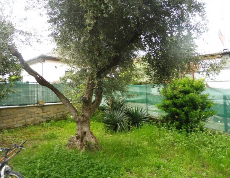 immagine annuncio 1 di 6