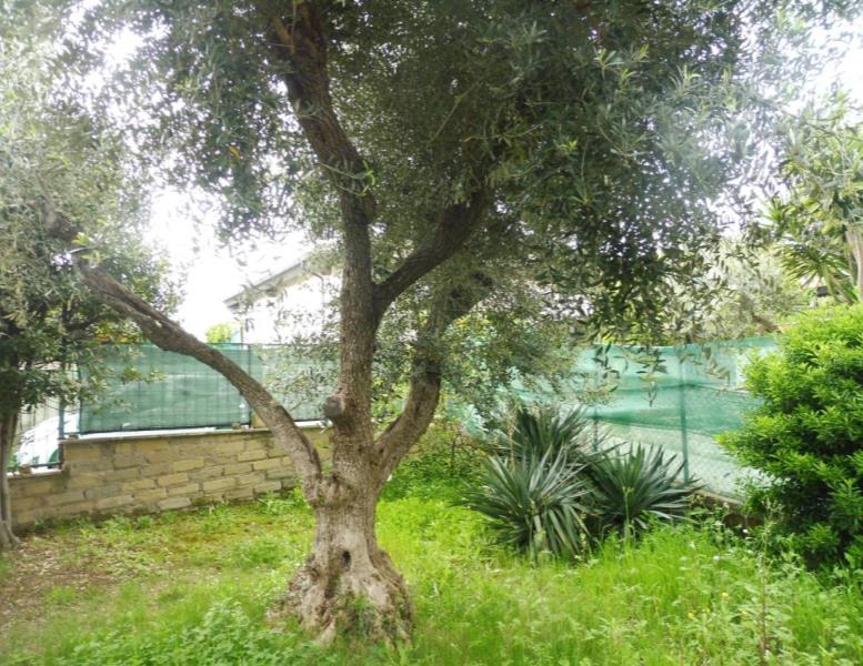 immagine annuncio 3 di 6