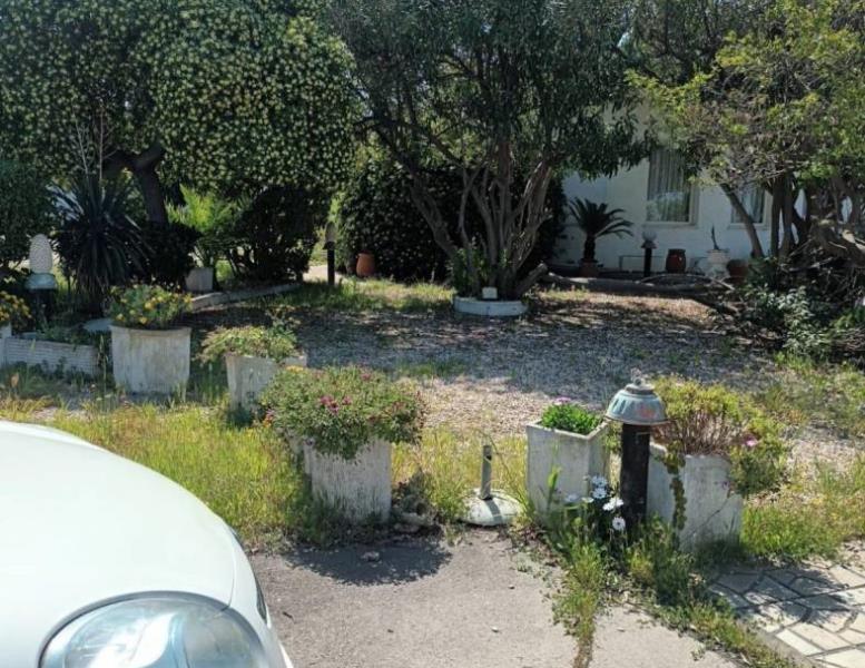 immagine annuncio 7 di 13