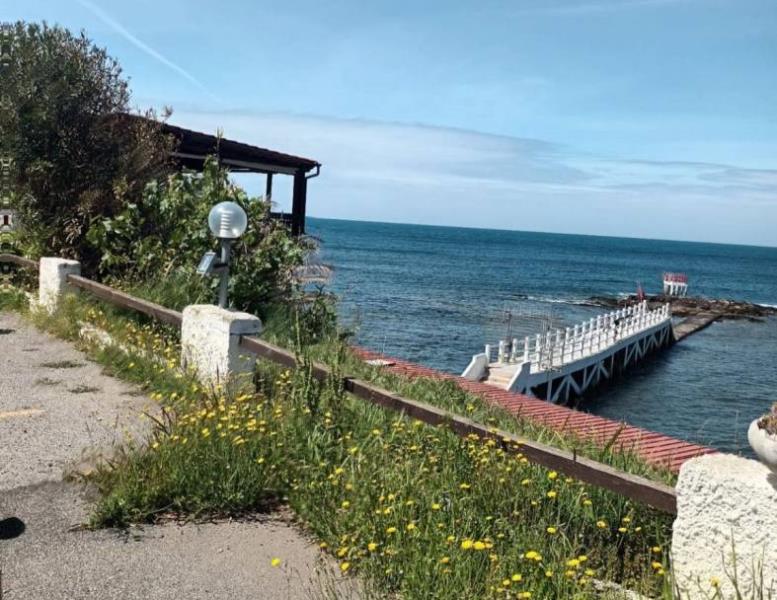 immagine annuncio 2 di 13