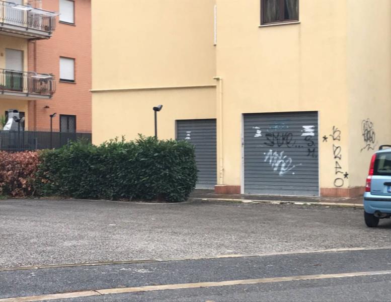 immagine annuncio 1 di 7