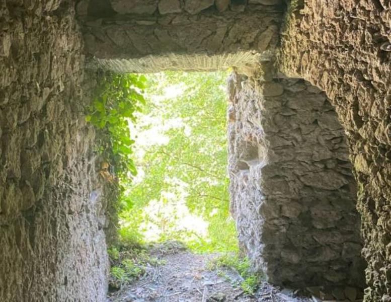 immagine annuncio 6 di 11