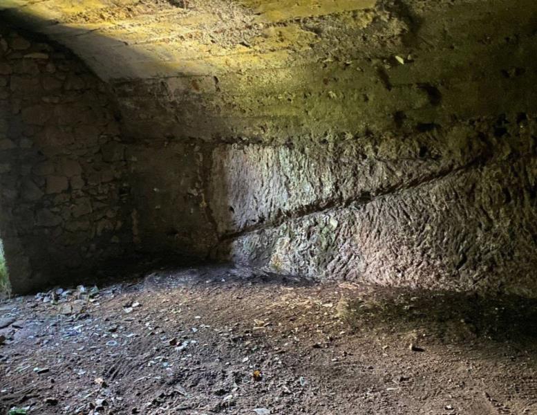 immagine annuncio 7 di 11