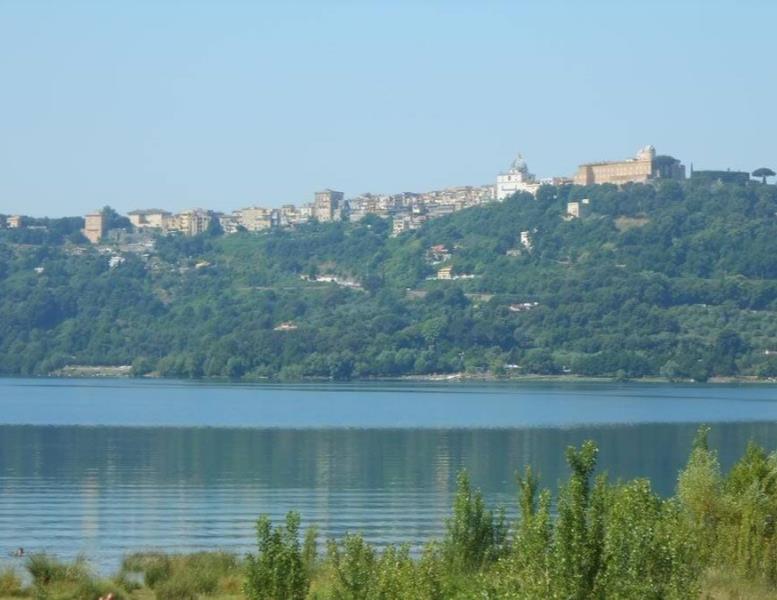 immagine annuncio 10 di 14