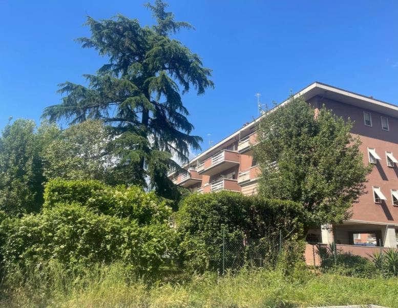 immagine annuncio 10 di 12