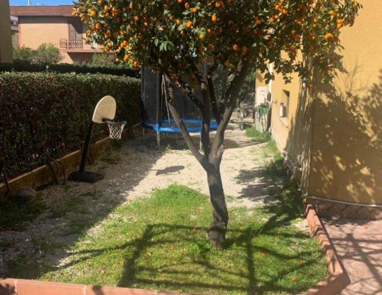 immagine annuncio 9 di 12