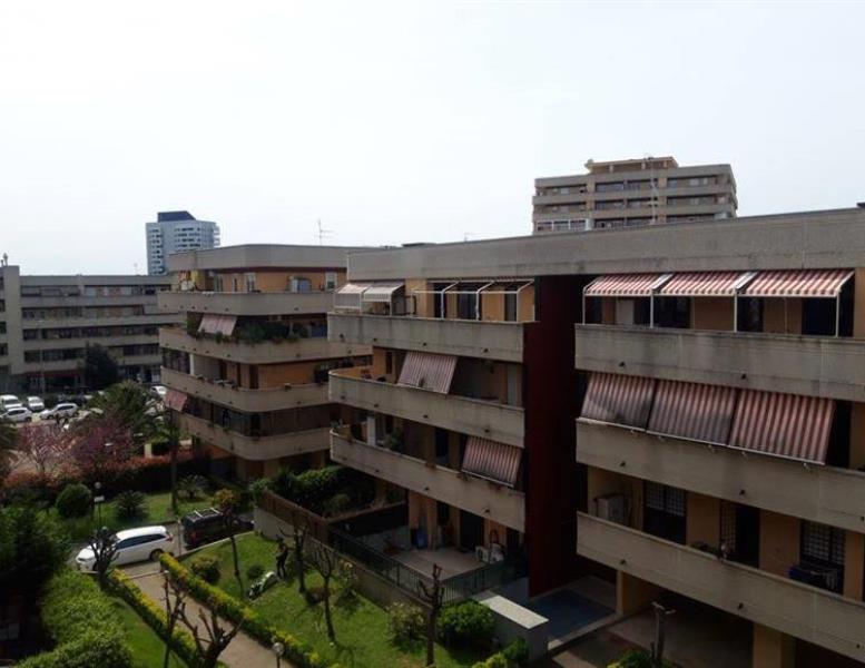 immagine annuncio 2 di 14