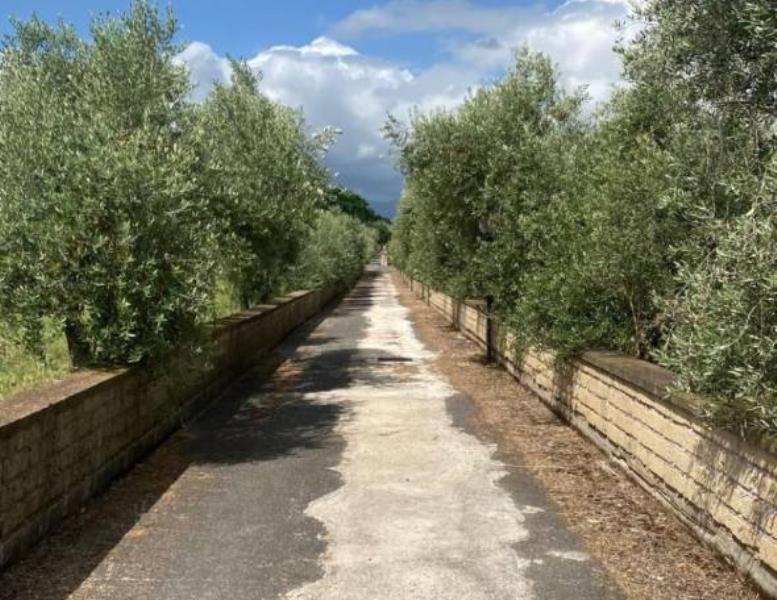 immagine annuncio 10 di 11