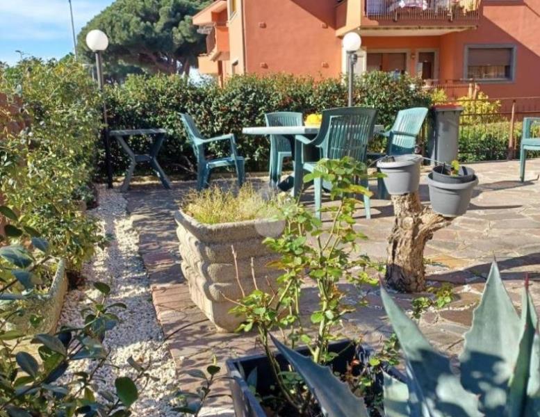 immagine annuncio 1 di 14