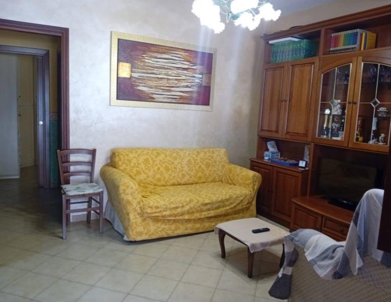 immagine annuncio 2 di 14
