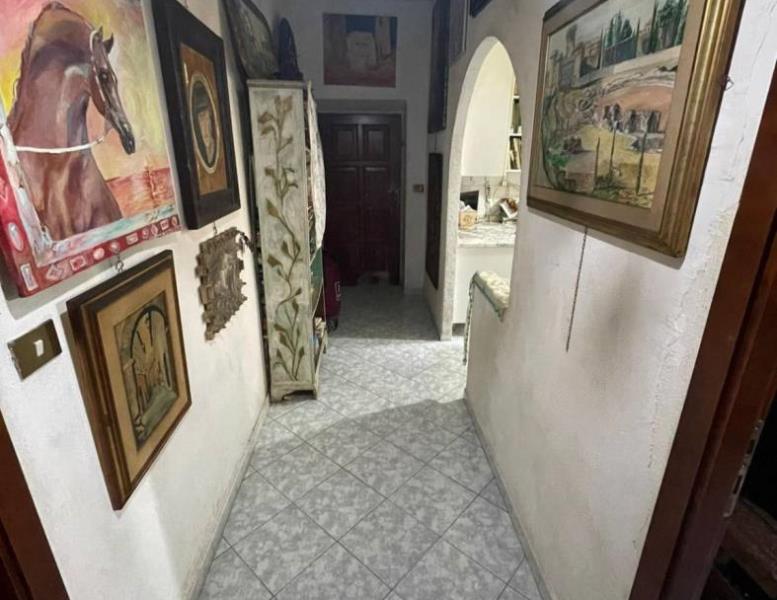 immagine annuncio 13 di 14