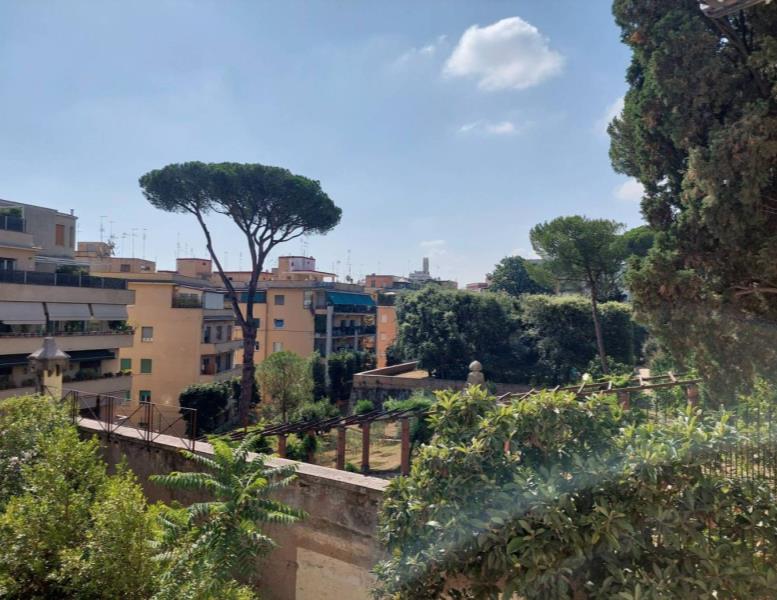 immagine annuncio 7 di 14
